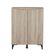 Zarelia Modern Shoe Storage Cabinet