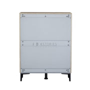 Zarelia Modern Shoe Storage Cabinet