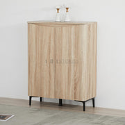 Zarelia Modern Shoe Storage Cabinet