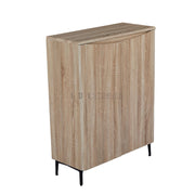 Zarelia Modern Shoe Storage Cabinet