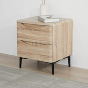 Indria Modern 2-Drawer Storage Cabinet
