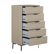 Aelaris Storage Cabinet With 5 Drawers