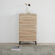 Eiryn Multi-Functional 5-Drawer Cabinet