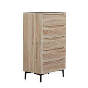 Eiryn Multi-Functional 5-Drawer Cabinet