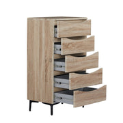 Eiryn Multi-Functional 5-Drawer Cabinet