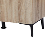 Zarelia Modern Shoe Storage Cabinet