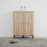 Zarelia Modern Shoe Storage Cabinet