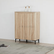 Zarelia Modern Shoe Storage Cabinet