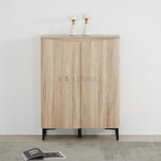 Zarelia Modern Shoe Storage Cabinet